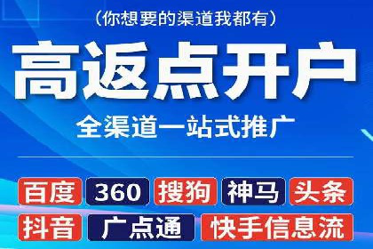 SEM搜索引擎优化策略解析与应用案例